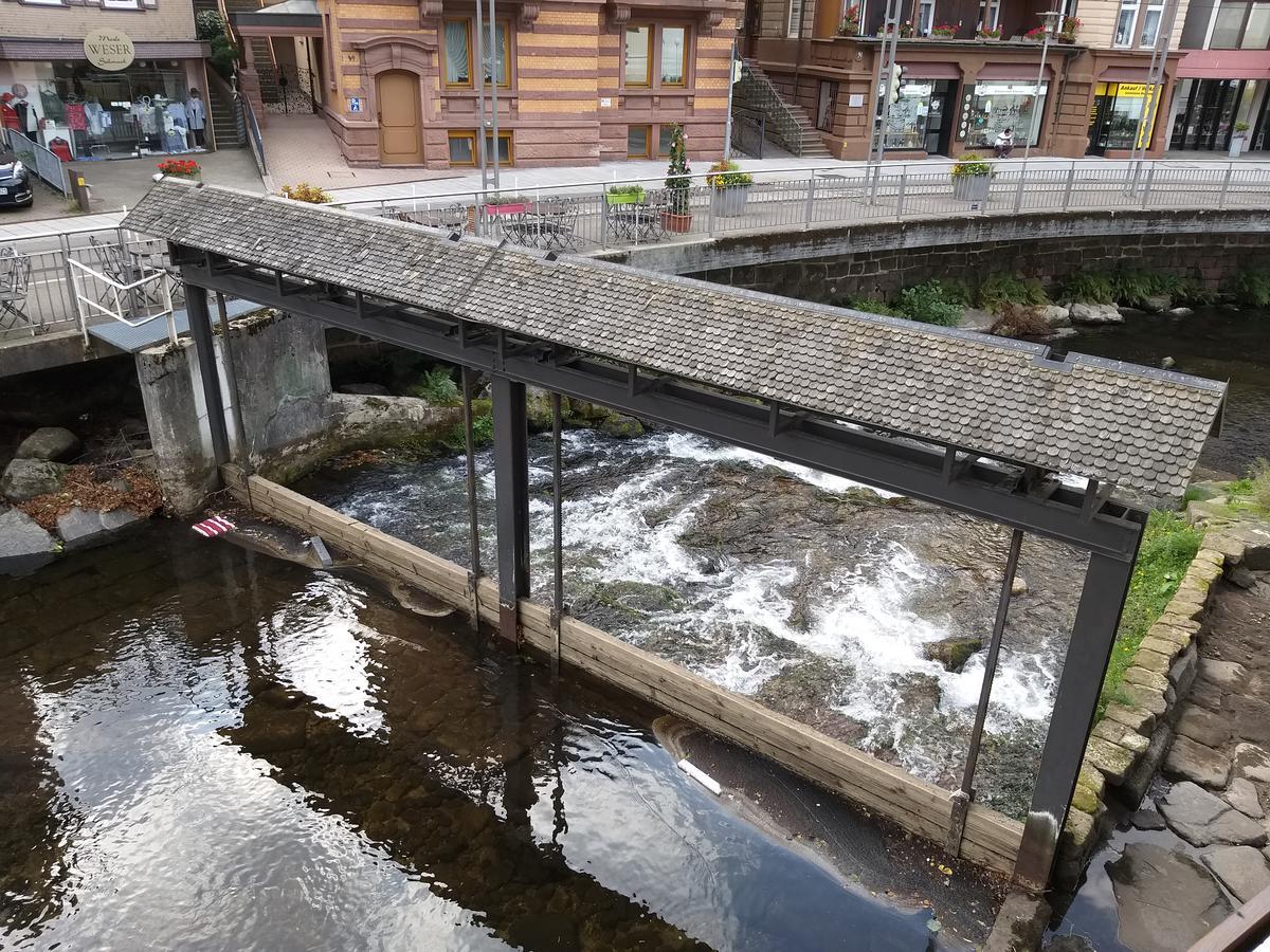 Hotel Sonne Bad Wildbad Exterior photo